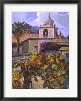Vineyard at San Miguel Framed Print