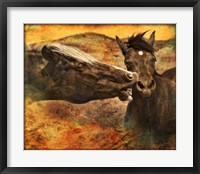 Kissing Horses I Framed Print