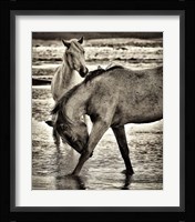 Beach Horses I Framed Print