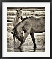 Beach Horses I Fine Art Print