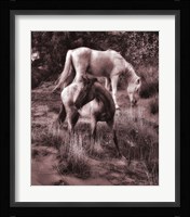 Beach Horses II Fine Art Print