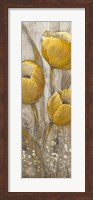 Ochre Tulips II Fine Art Print