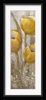 Ochre Tulips II Framed Print