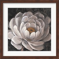 Neutral Fleur II Fine Art Print