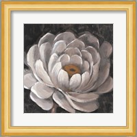 Neutral Fleur II Fine Art Print