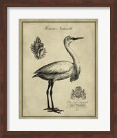 Antiquarian Egret Fine Art Print