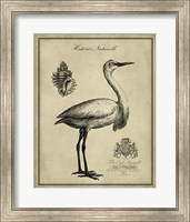 Antiquarian Egret Fine Art Print