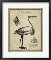 Antiquarian Egret Fine Art Print