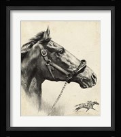 Whirlaway Fine Art Print