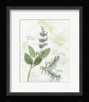 Rosemary & Sage Framed Print