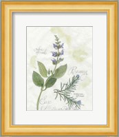 Rosemary & Sage Fine Art Print