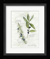 Bay Leaf & Juniper Framed Print