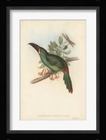 Tropical Toucans II Fine Art Print