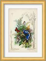 Victorian Butterfly Garden III Fine Art Print