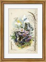 Victorian Butterfly Garden V Fine Art Print