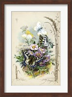 Victorian Butterfly Garden V Fine Art Print
