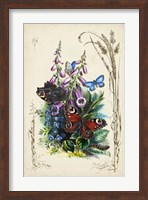 Victorian Butterfly Garden VI Fine Art Print