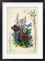 Victorian Butterfly Garden VI Fine Art Print
