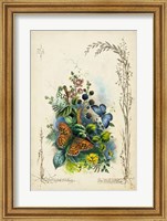 Victorian Butterfly Garden VII Fine Art Print