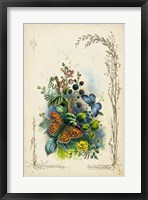 Victorian Butterfly Garden VII Fine Art Print