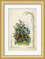 Victorian Butterfly Garden VII Fine Art Print