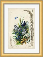 Victorian Butterfly Garden VIII Fine Art Print