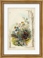 Victorian Butterfly Garden IX Fine Art Print