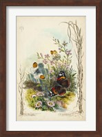 Victorian Butterfly Garden IX Fine Art Print