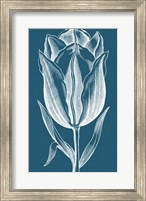 Chromatic Tulips I Fine Art Print