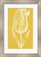 Chromatic Tulips IV Fine Art Print