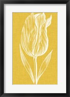 Chromatic Tulips IV Fine Art Print