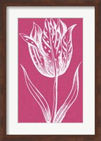 Chromatic Tulips V Fine Art Print