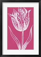 Chromatic Tulips V Fine Art Print