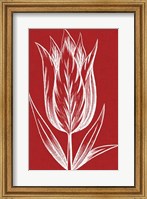 Chromatic Tulips VIII Fine Art Print