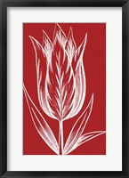 Chromatic Tulips VIII Fine Art Print