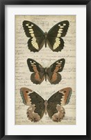 Butterfly Script I Fine Art Print