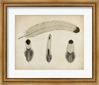 Vintage Feathers V Fine Art Print
