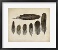 Vintage Feathers VI Fine Art Print