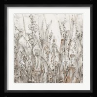 Shadows II Framed Print