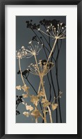 Twilight Botanicals I Framed Print