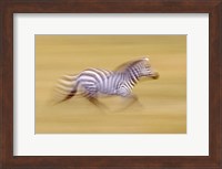 Zebra in Motion Kenya Africa Fine Art Print