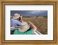Rear view of two safari photographers filming a giraffe Fine Art Print