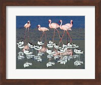 Avocets and flamingos standing in water, Ngorongoro Crater, Ngorongoro Conservation Area, Tanzania Fine Art Print