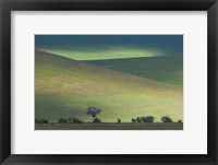 Panoramic view of hill, Ngorongoro Crater, Arusha Region, Tanzania Fine Art Print