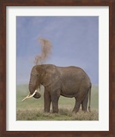 African Elephant, Ngorongoro Crater, Arusha Region, Tanzania Fine Art Print