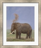African Elephant, Ngorongoro Crater, Arusha Region, Tanzania Fine Art Print
