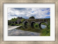 The 13 Arch Bridge over the River Funshion, Glanworth, County Cork, Ireland Fine Art Print