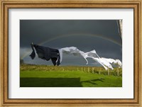 Rainbow, Stormy Sky and Clothes Line, Bunmahon, County Waterford, Ireland Fine Art Print