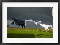 Rainbow, Stormy Sky and Clothes Line, Bunmahon, County Waterford, Ireland Fine Art Print