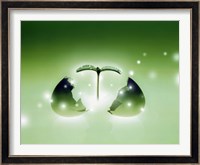 Shiny green egg bursting in two with green sprig and stars escaping Fine Art Print